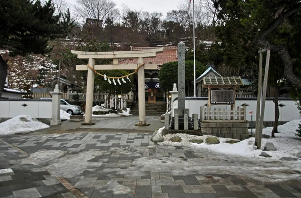 Japansk Trädgård Vintern — Stockfoto
