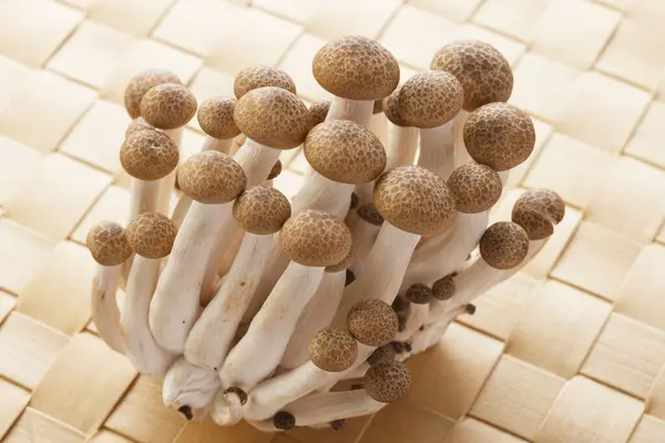竹席上新鲜有机蘑菇的特写 — 图库照片