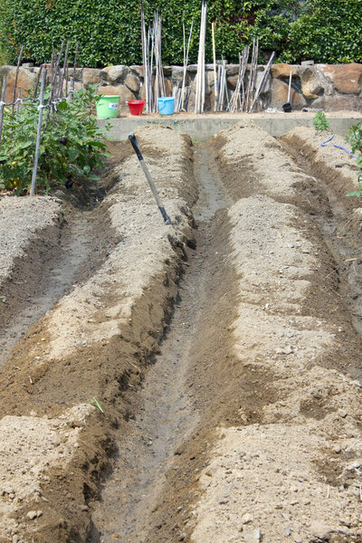 Свежеобработанная садовая почва, образующая ряды посадки