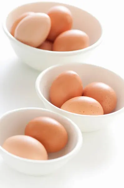 Uova Pollo Bianco Sfondo Primo Piano — Foto Stock