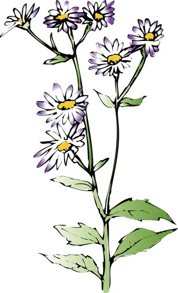 Рука Намальовані Квіти Ізольовані Білому Тлі — стокове фото