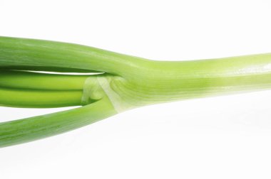 Beyaz arkaplanda taze yeşil soğan izole edildi.
