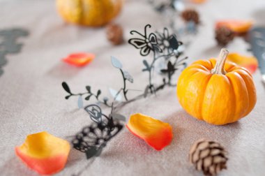 Sonbahar balkabakları ve süslemelerle dolu bir hayat                