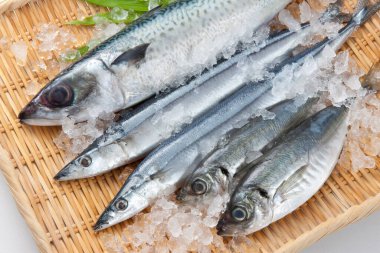 Taze balığın buzlu görüntüsünü kapat