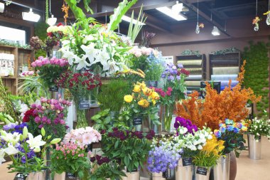 Bahçedeki güzel çiçekler