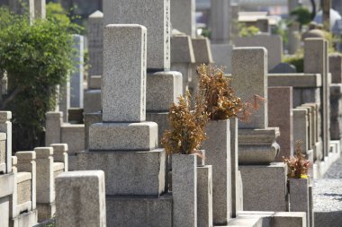 Japonya 'daki Japon mezar taşları ve mezarlığı