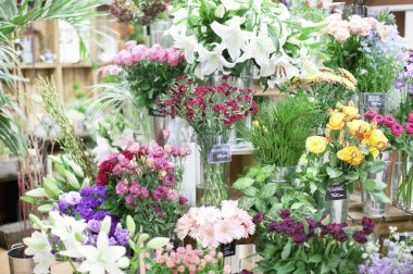 Bahçedeki güzel çiçekler