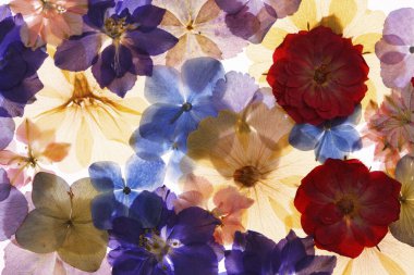 Çiçeklerle kusursuz desen