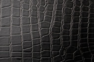 Timsah derisi arka plan dokusu, moda 