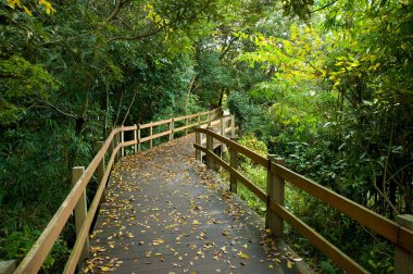 Gündüz vakti korkulukları olan güzel ahşap bir patika.  