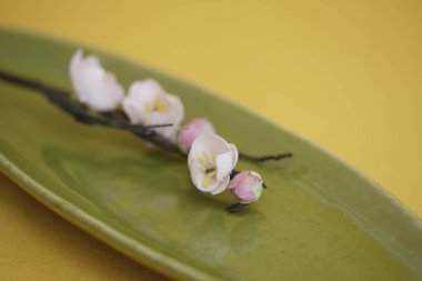 Sarı arka planda yeşil yaprak şekilli tabakta güzel bahar çiçekleri.
