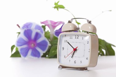 Beyaz arkaplanda çiçekli saat  