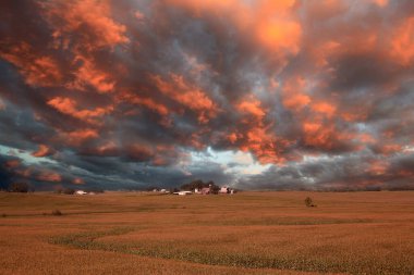 Doğanın arka planında fırtına bulutları