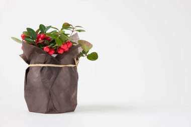 El çantası içinde noel süsü. Kırmızı meyveli Noel ağacı