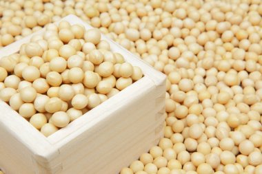 Tahta kutuda organik soya fasulyelerinin yakın plan görüntüsü.   