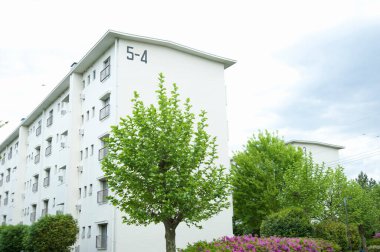 yeşil ağaçlı ve mavi gökyüzlü apartman