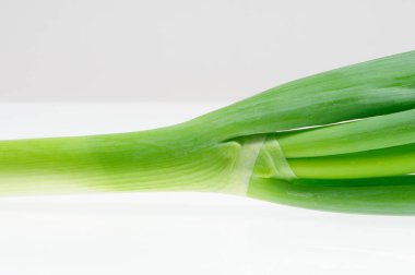 Beyaz arkaplanda taze yeşil soğan izole edildi.