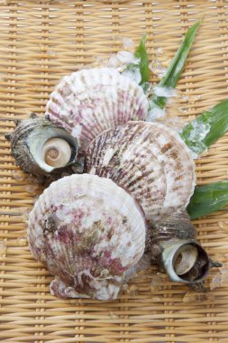 Yeşil yapraklı taze çiğ deniz tarakları ve bambu hasırında buz.