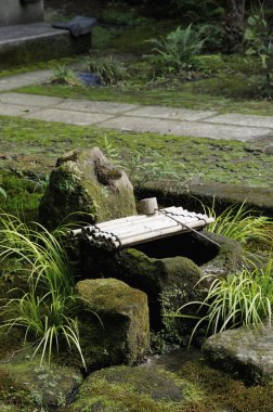 Geleneksel Japon tsukubai taş su havzası yosunlu bahçe bitkileriyle çevrili.