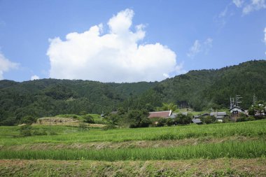 Yeşil dağlardaki köy. 