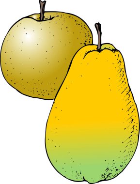 Beyaz arkaplanda elma ve armut çizimi