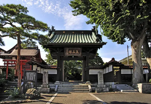 Plan Pittoresque Beau Vieux Temple Japonais — Photo