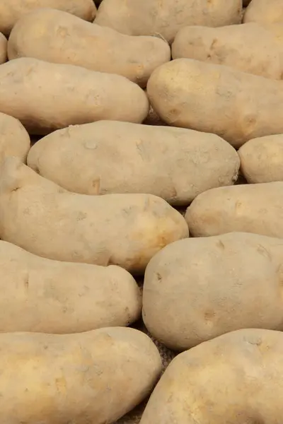 Fresh Organic Potatoes Market — Stock Photo, Image