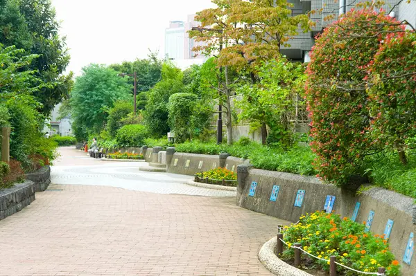 Jardín Japonés Parque Setagaya —  Fotos de Stock