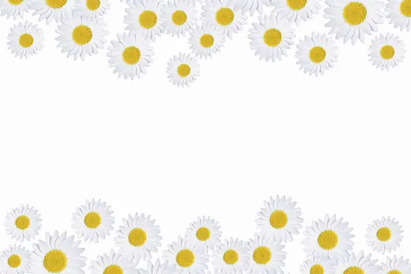 White Gray Background Yellow Flower — Stock Photo, Image