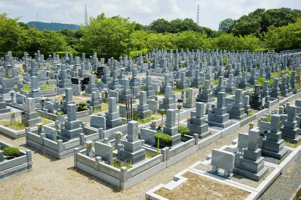 Красивое Старое Кладбище Гробницами Летом Японии — стоковое фото