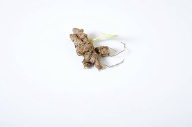 Beyaz arkaplanda kuru kahverengi kökler, yakın plan