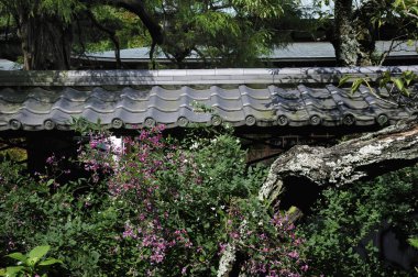 Güzel geleneksel Japon mimarisi yaz parkında 