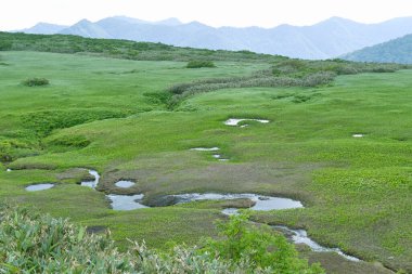 açık hava manzarasının resimsel görüntüsü