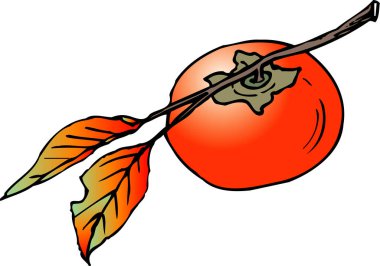 Ripe persimmon hanging beside autumn leaves branch