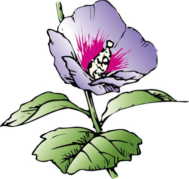 Beyaz arka plan üzerinde izole el çekilmiş çiçek 