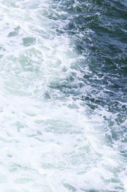 Sahildeki deniz dalgaları