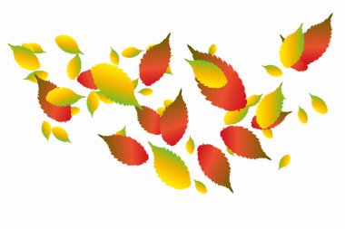 Sonbahar pürüzsüz soyut desen bırakır