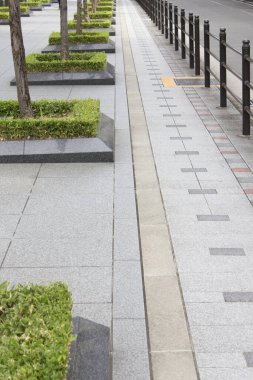 Geometrik kaldırım taşları ve budanmış yeşil çalılardan oluşan modern kaldırım.