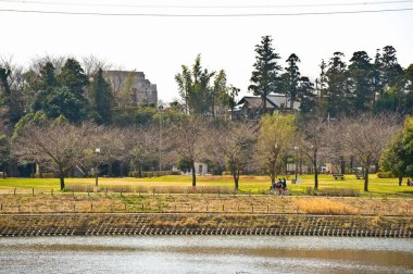 Tonegawa Riverbed Park Yazın, Japonya