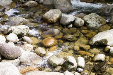 Taşların arasından akan güzel nehirler.       