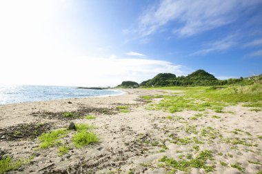 Deniz dalgaları ve kumsal arkaplanı               