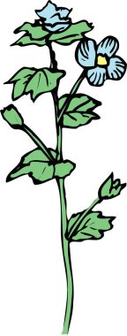 Mavi çiçekler ve yapraklar beyaz arka plan üzerinde 