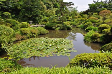 Yeşil bitkileri ve göleti olan güzel Japon bahçesi.            