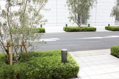 Modern şehir peyzajı boş caddenin yanındaki budanmış çalılar