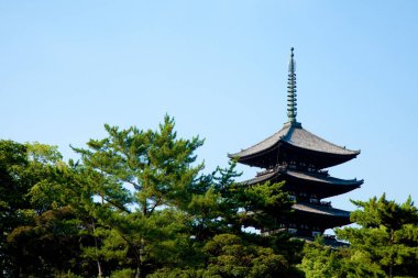 Nara Kofukuji 'nin Beş Katlı Pagoda' sı