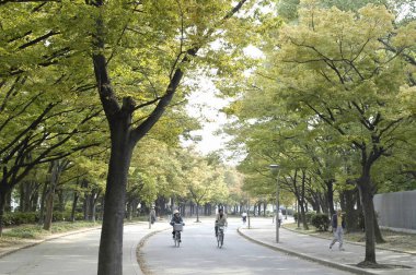 Yolda yürüyen ve bisiklete binen insanlar
