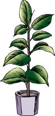 Beyaz arkaplandaki saksıdaki yeşil bitkilerin çizimi 