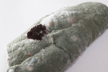 Ekmeğin üzerindeki kalıpların makro görünümü