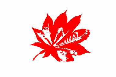 Akçaağaç yaprağı siluet simge.