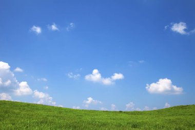 Mavi gökyüzü arka plan ile yeşil alan 